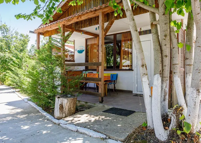 Silitur 아크토폴