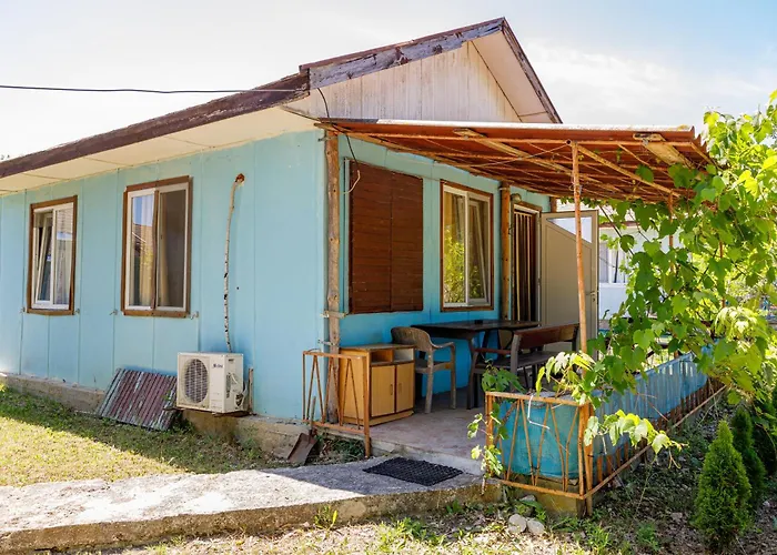 Silitur * 아크토폴